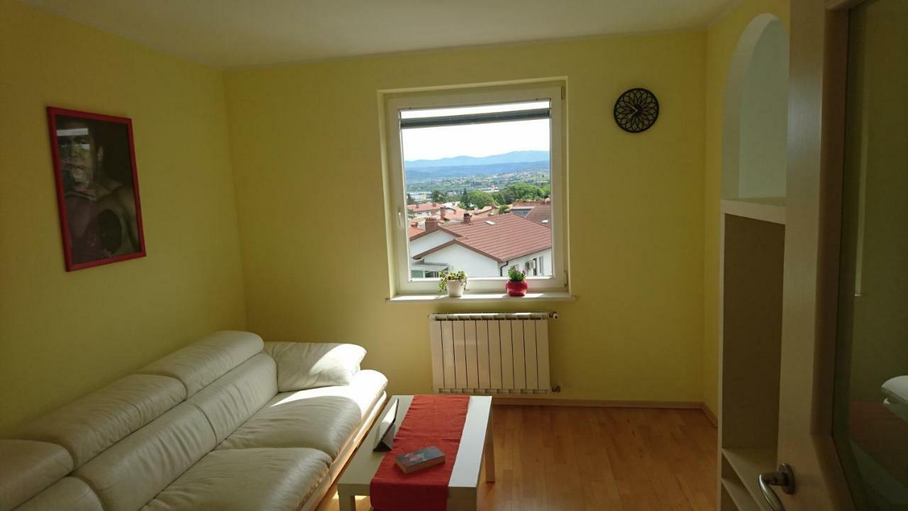 Apartment Vladka